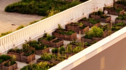 Nature Urbaine - Rooftop parc des expositions porte de Versailles 2